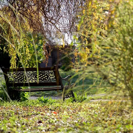 לינה וארוחת בוקר A L'ancienne Boulangerie -